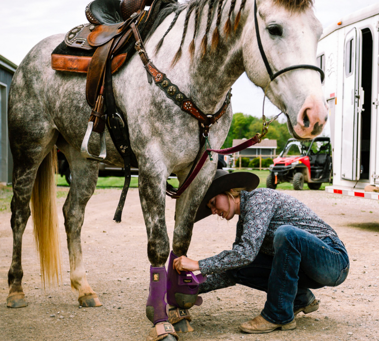 The Best Sport Medicine Splint Boots For Barrel Racing