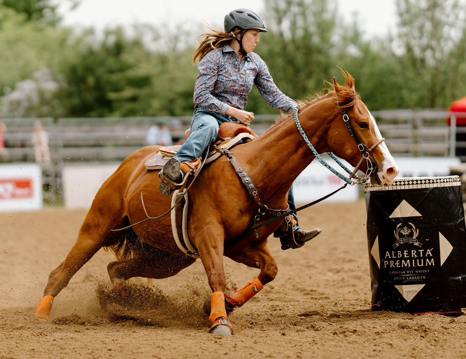 Tie Downs for Barrel Horse: Essential Tool or Temporary Fix?